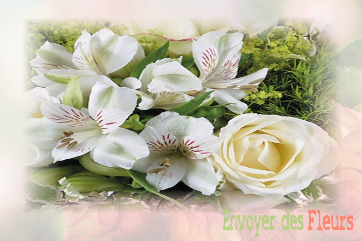 envoyer des fleurs à à VIRIEU-LE-GRAND